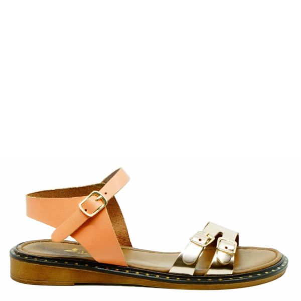 WD-132031-CORAL