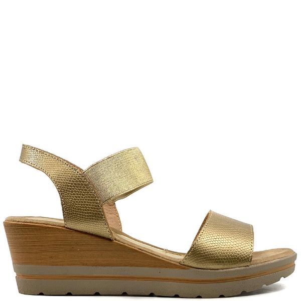 WD-112021-GOLD