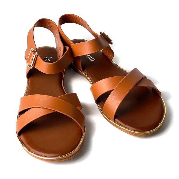 WD-132009-CAMEL