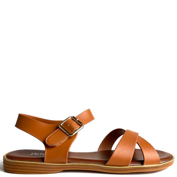 WD-132009-CAMEL