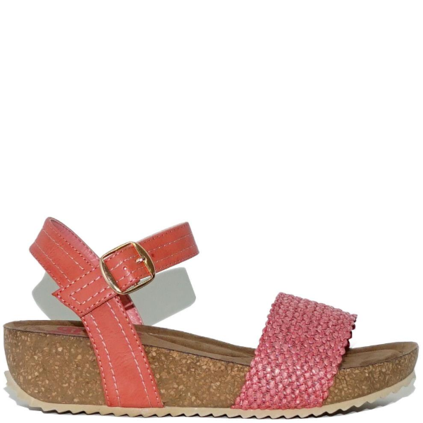 WD-141019-CORAL